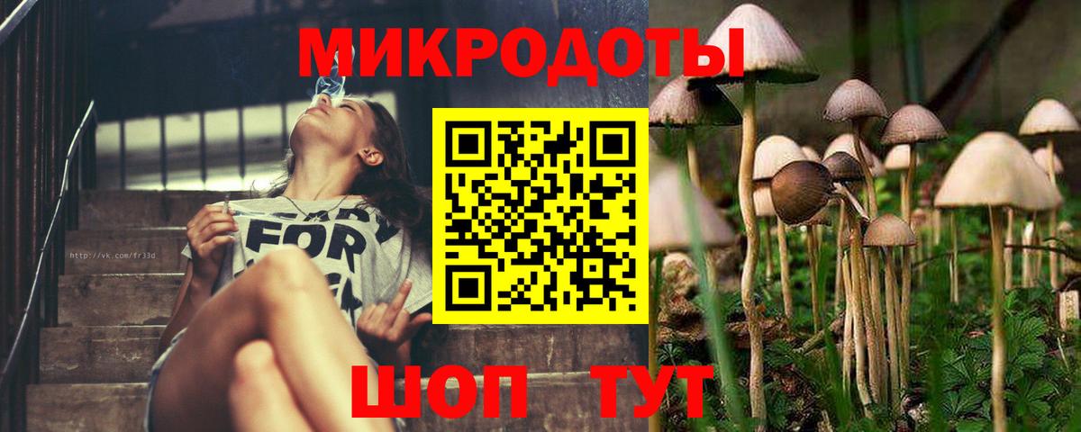 Аша  Галлюциногенные грибы Psilocybe  Вход с VPN  Псилоцибиновые грибы прущие грибы 